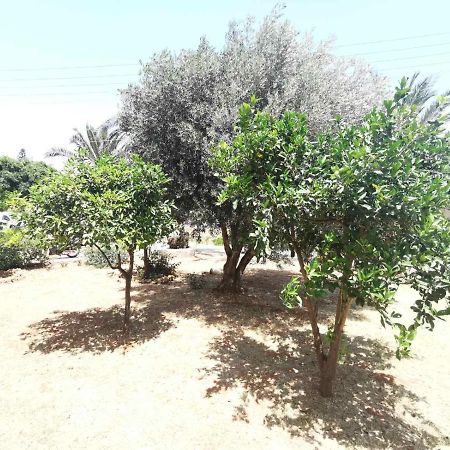 Bed and Breakfast Stalis Drops Esterno foto